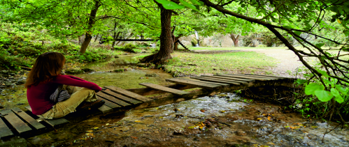 Meditation Lounge